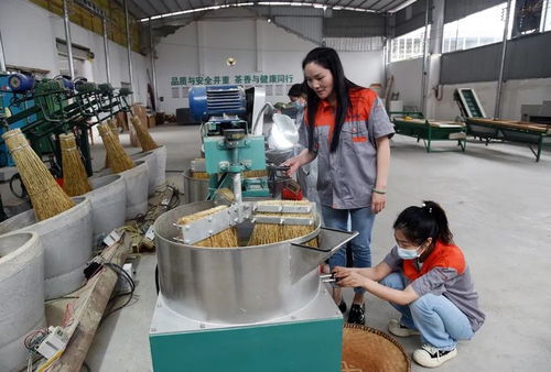一个女老板和她的两个加工厂 凤冈县返乡农民工赵小意的创业故事
